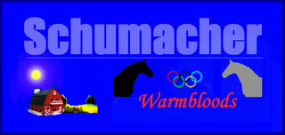 Schumacher Sport Horses